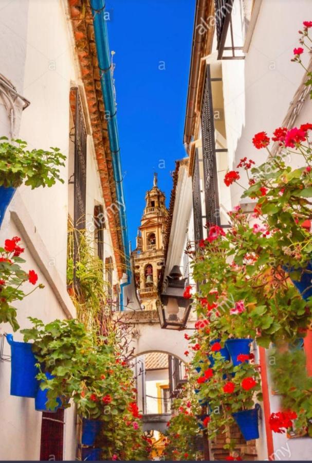 Centro-Mezquita 4 A 8 Huespedes Lejlighed Córdoba Eksteriør billede